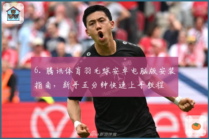 6. 腾讯体育羽毛球安卓电脑版安装指南，新手五分钟快速上手教程