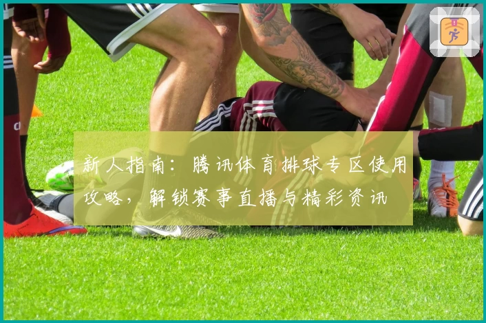 新人指南：腾讯体育排球专区使用攻略，解锁赛事直播与精彩资讯